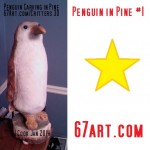 Penguin1-Day6-web2